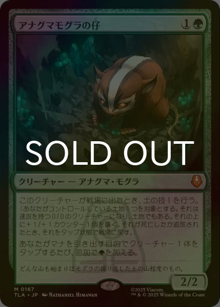 アナグマモグラの仔/Badgermole Cub ボーダレス foil 日本語 MTG