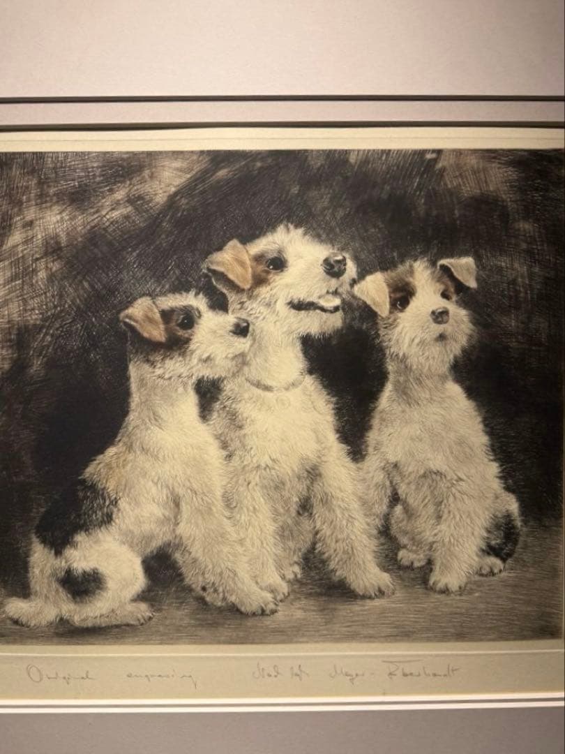 他の方発送× Meyer-Eberhardt Amazon | 東洋アソシエイツ ミニシャーベンダーMSB-8 68080 | 切削工具