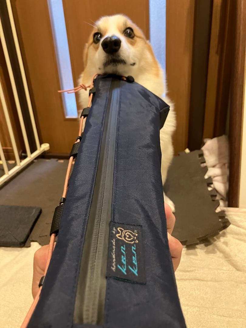 犬2022ハンドメイドフレームバッグ ①②⓪オーダーフレームバッグとのんびり秋分の日 | 春秋日記